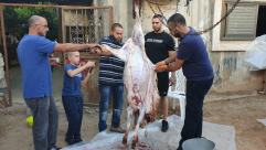 بالصور: أجواء عيد الأضحى المبارك وذبح الأضاحي في اللد والرملة 