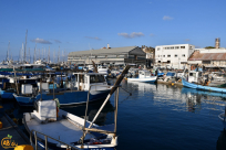 الخميس: دعوة للمشاركة في مشروع لتنظيف وتنظيم مخازن الصيادين في ميناء يافا 