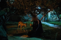 بالفيديو : اعتقال رجل فلسطيني بشبهة صيد غزال وطيور حسون