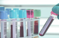 الهستدروت تُقر نزاعات عمل في عدة مرافق 