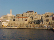 اليوم: القوى الاسلامية بيافا تجتمع لبحث خطوات الاحتجاج على العدوان الاسرائيلي قطاع غزة