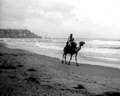  في مثل هذا اليوم من العام 1268 - الظاهر بيبرس يسترد مدينة يافا من الصليبيين