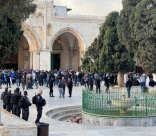  وسط انتشار مكثّف للشرطة .. مستوطنون يقتحمون المسجد الأقصى