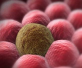 اكتشاف جديد لمحاربة السرطان