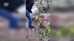  الرملة: لائحة اتهام ضد شاب "19 عاماً" حفر قبراً لشقيقته وهددها بالفيديو