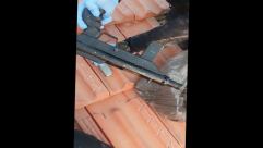 الشرطة: ضبط سلاحين من نوع "كارلو" داخل روضة في الرملة واعتقال مشتبهيْن