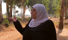  فيديو: عادت إلى يافا واسترّجعت حبتي برتقال من قريتها "فجّة" المهجّرة