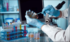 العلماء يكتشفون سبب الألم المزمن