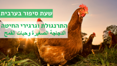  الأربعاء: ساعة قصة باللغة العربية في مكتبة آنا لاورا بالمركز الجماهيري