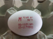 ابادة نحو 80 ألف بيضة بسبب جرثومة "السالمونيلا" ووزارة الصحة تحذر الجمهور 