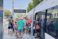 مجاناً: تعالوا جولة في القطار الخفيف بيافا 