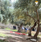 مئات المستوطنين يقتحمون الأقصى واستنفار عسكري يسبق "مسيرة الأعلام"