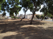 يافا: البلدية تبدأ بالتخطيط لاقامة 5 روضات للاطفال في المدينة