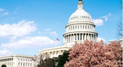 إطلاق نار في مبنى مجلس الشيوخ الأمريكي