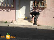  يافا: مصرع مواطن يهودي متأثراً بجراحه بعد تعرضه لعملية طعن صباح أمس