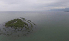 ارتفاع منسوب بحيّرة طبريا واختفاء جزيرتها 