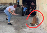 50 شيقل على انقاذ كلب في الخليل لوقف "مجزرة الكلاب"