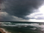 الشتاء في يافا تصوير ايام خروب