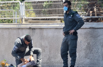 فيديو: الشرطة تعتقل شاب بطريقة وحشيّة في مدينة يافا