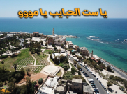 أجمل المشاهد ليافا على أنغام أغنية "يا ست الحبايب يامو" 