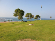 الطقس: الأجواء لطيفة والحرارة دون معدلاتها