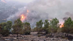 250 حريقاً اندلع أمس بالبلاد، واستمرار جهود الإطفاء بنوف هجليل