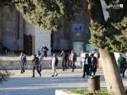 عشرات المستوطنين يقتحمون الأقصى ويؤدون طقوساً تلمودية