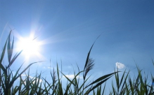 حالة الطقس: فرصة لسقوط امطار