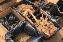   فيديو: المنهجية التي تُمارس فقط عند انتهاك حرمة مقابر المسملين في يافا 