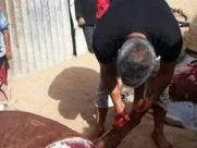  صور: عائلة غزية تذبح حصاناً بسبب الاوضاع الاقتصادية الصعبة 
