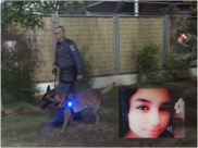 استمرار البحث عن الفتاة المفقودة ريان عبد الله (12 عاماً)، والشرطة تناشد الجمهور