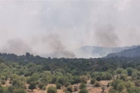  حدث أمني على الحدود الشمالية - والجيش الاسرائيلي يصدر تعليماته للسكان