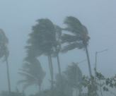 ارتفاع عدد قتلى إعصار أيدا في الولايات المتحدة إلى 50 قتيلا على الأقل