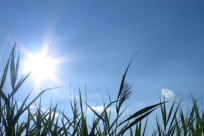 حالة الطقس: اجواء خريفية معتدلة نهاراً ومائلة للبرودة ليلا