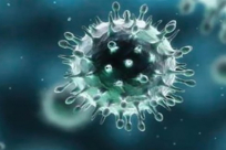 الصين: ارتفاع عدد الوفيات نتيجة كورونا إلى 564 وفاة