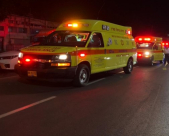  اصابة حرجة لشخص اثر تعرضه للدغة أفعى جنوب يافا