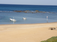 الطقس: أجواء صيفية ويتوقع أمطار متفرقة