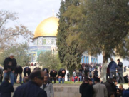 عشرات الآلاف يؤدون صلاة الجمعة في المسجد الاقصى المبارك