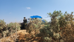 تسللا من الأردن: إطلاق نار في منطقة البحر الميت..إصابة جنديين وتصفية منفذين