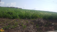 تراجع إيرادات العقارات بين 12 و15 مليار شيكل: تحذيرات من أزمة اقتصادية خطيرة في إسرائيل