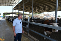 تمديد حملة الاشتراك بمشروع الأضاحي حتى مساء يوم الأحد