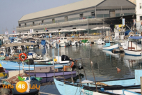 خسائر فادحة تتكبدها المطاعم والمحلات التجارية في ميناء يافا 