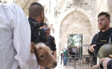 "جماعات الهيكل" تدعو للبدء بذبح القرابين في الأقصى اليوم