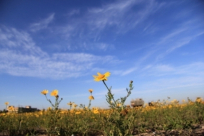 حالة الطقس حتى منتصف الأسبوع