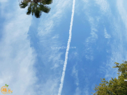 مصادر عبرية: 5 قتلى عقب سقوط صاروخ أطلق من الجنوب اللّبناني باتجاه المطلة 