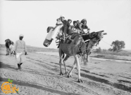 فيديو: في مثل هذه الأيام - بداية موسم روبين جنوب مدينة يافا 