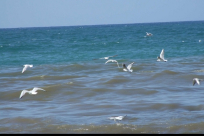 حالة الطقس الأسبوع القادم