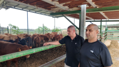 ادفع بالأقساط .. جمعية يافا تُطلق مشروع الأضاحي لعام 2026 