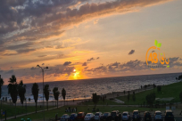 الطقس: أجواء شديدة الحرارة 