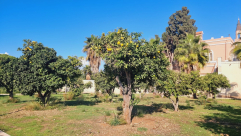 مقترح حكومي لإعادة ضريبة الأملاك يهدّد الأراضي العربية ويواجه معارضة قضائية